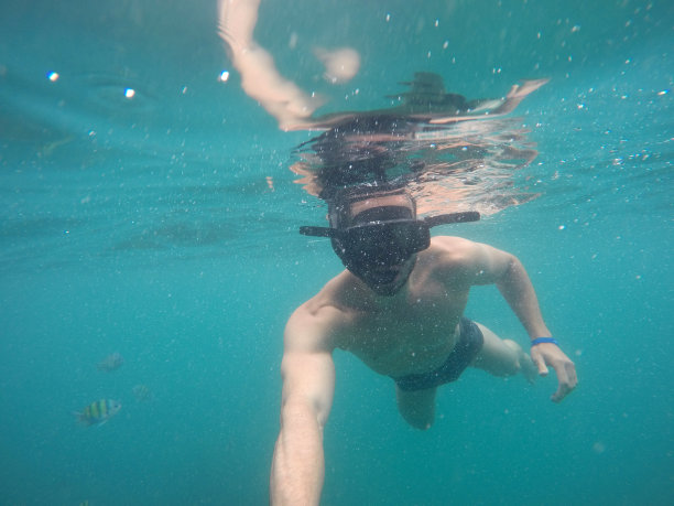 在澳大利亚圣灵岛，潜水员在水下自拍图片下载