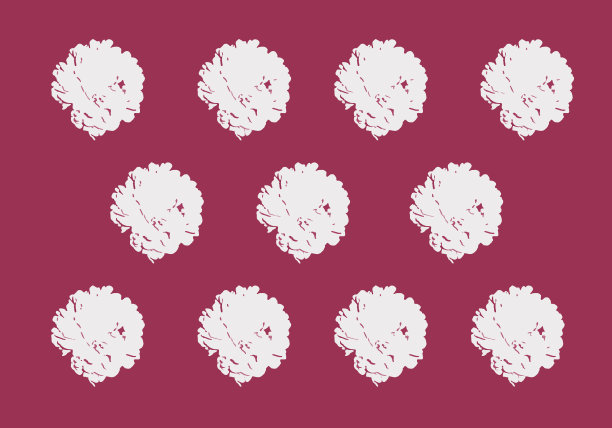 花卉、牡丹图形图案图片下载