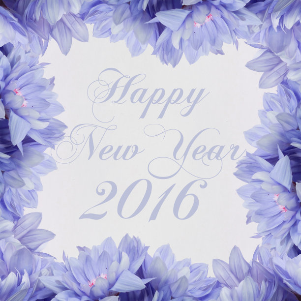 2016年鲜花贺卡图片下载