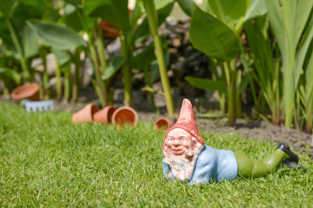 花园gnome图片下载