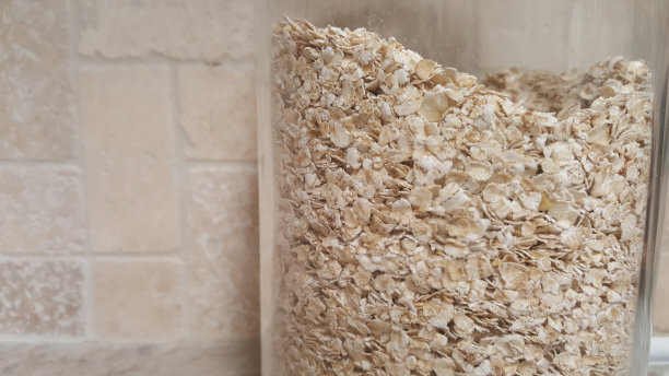 玻璃罐中生燕麦。图片下载