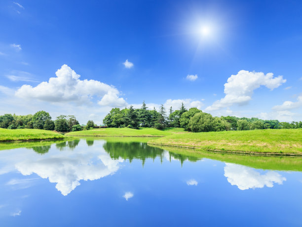 绿草如茵，池塘自然风光图片下载