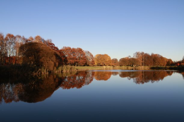 拉脱维亚。城市里加。金色的秋天图片下载