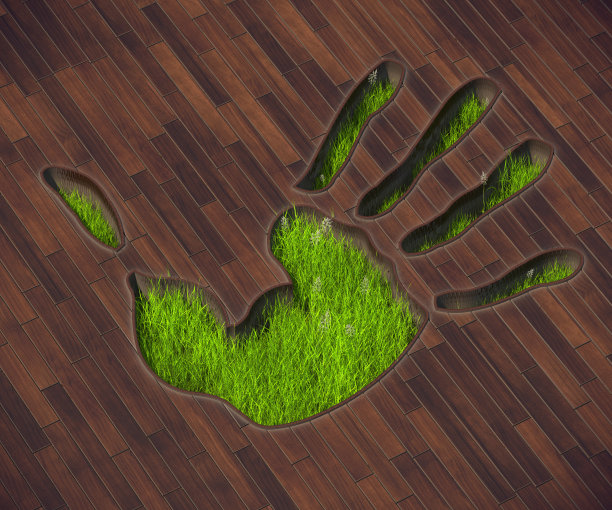 的草坪上的手图片下载