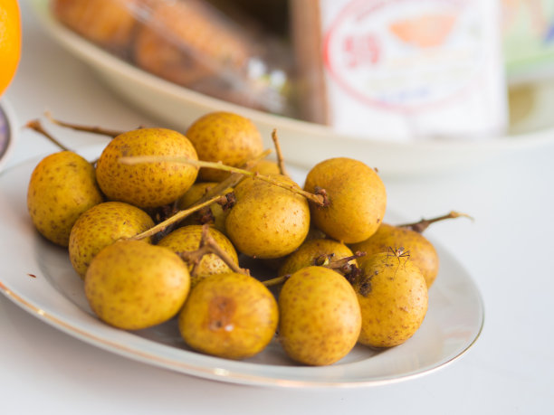 龙眼果的特写图片下载