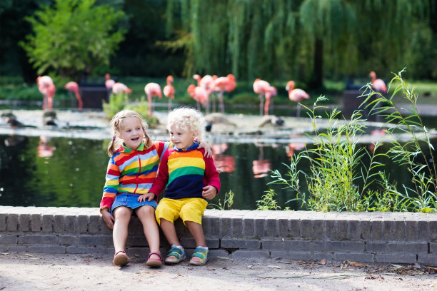 孩子们在动物园里看动物图片下载