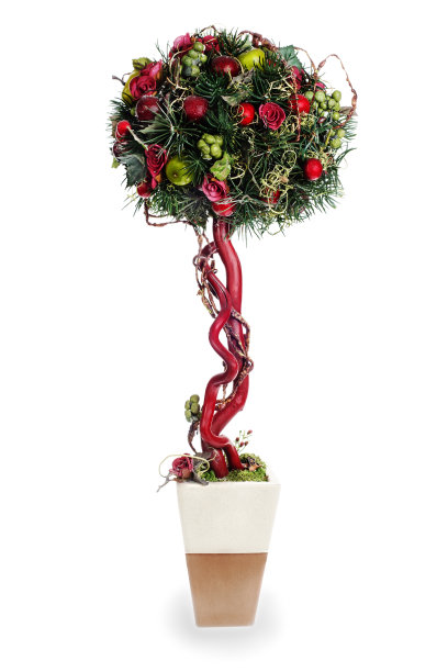 以苹果、气球、玫瑰和松针为素材的抽象作品图片下载