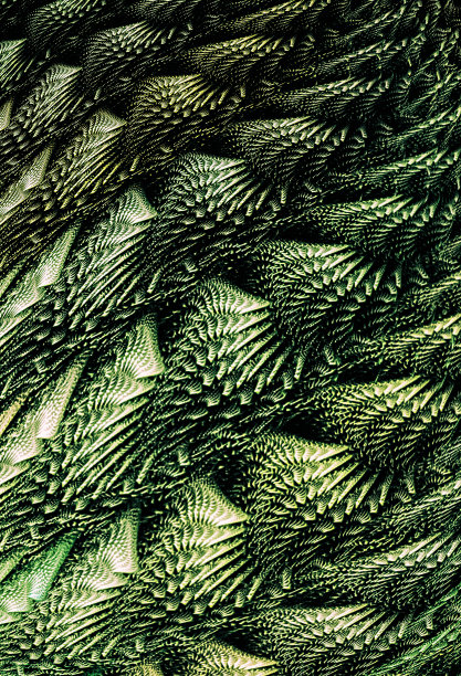 分形艺术背景的创意设计。图片下载