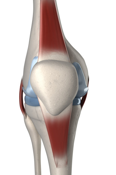 人膝关节前视图孤立图片下载