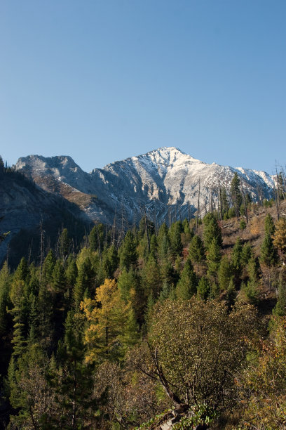 的峰值图片下载