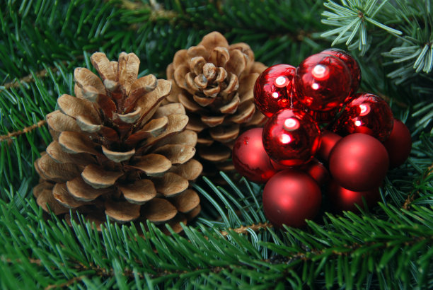 新年的装饰图片下载