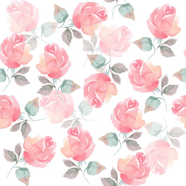 背景与美丽的玫瑰。无缝图案与手绘花51素材图片