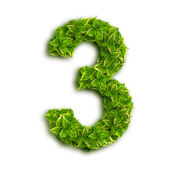 字母3，树叶做的图片下载