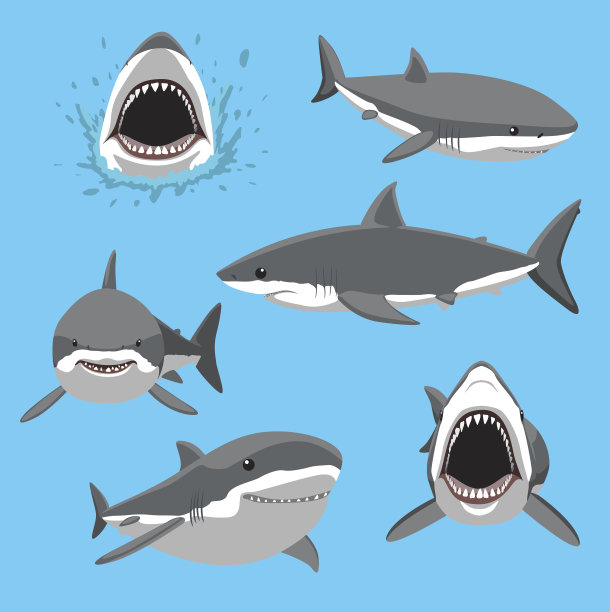 大白鲨六姿态卡通矢量插图素材图片