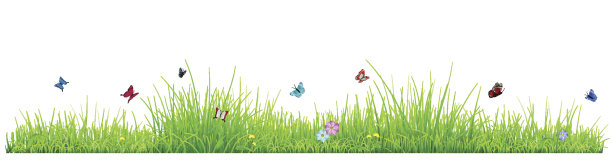 绿色的草地上有鲜花和蝴蝶图片下载