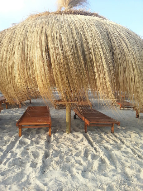 作为一个布瑞拉图片下载