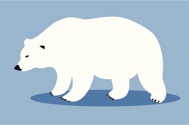 白色的北极熊图片下载