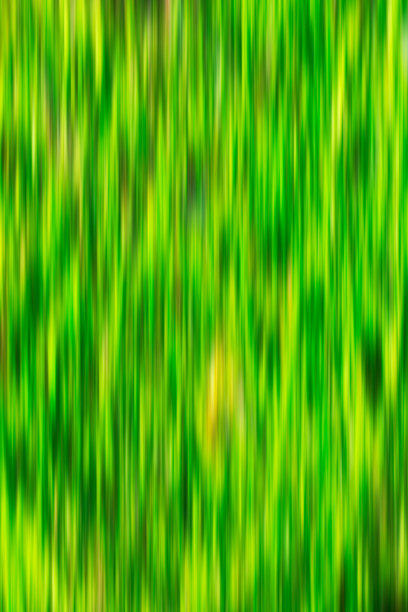 基于模糊景观图像的迷幻背景图片下载