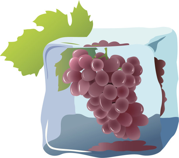 葡萄图片下载
