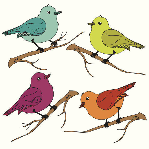 让鸟儿栖息在树枝上。图片下载