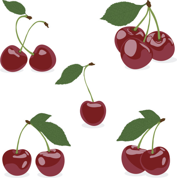 樱桃,向量图片下载