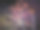 花火 Fireworks素材图片