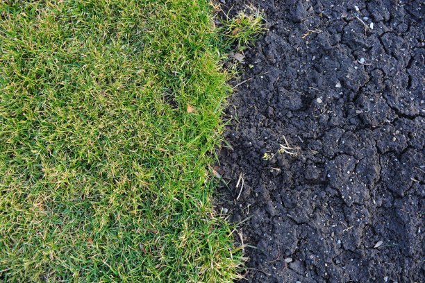 土地和土壤图片下载