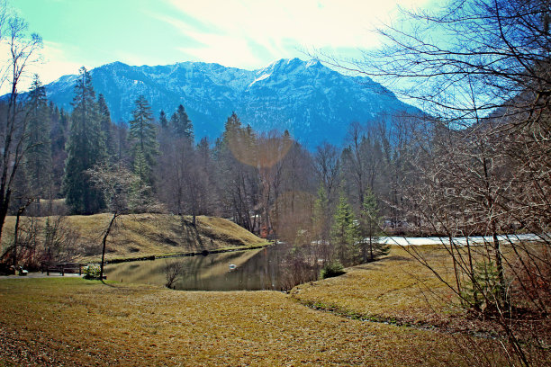 德国巴维埃拉的森林图片下载