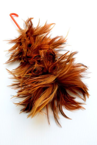 羽毛除尘器图片下载