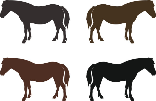 马轮廓图片下载