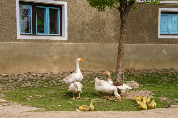 罗马尼亚图片下载