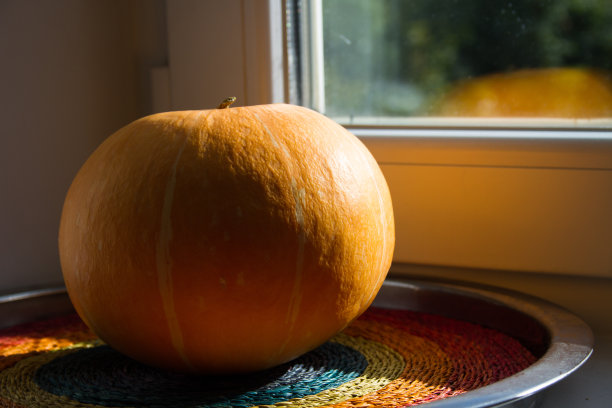 窗台上的黄色南瓜图片下载