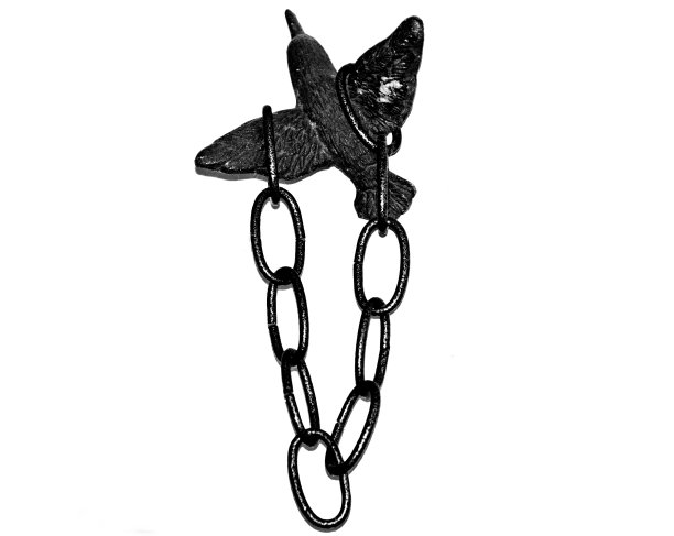 鸽子在链图片下载