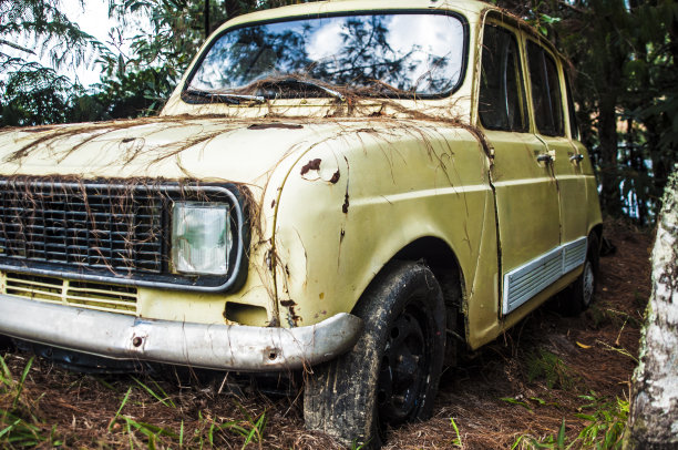 森林里的旧车图片下载