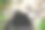 基塔瓦岛的奥玛骷髅洞图片下载