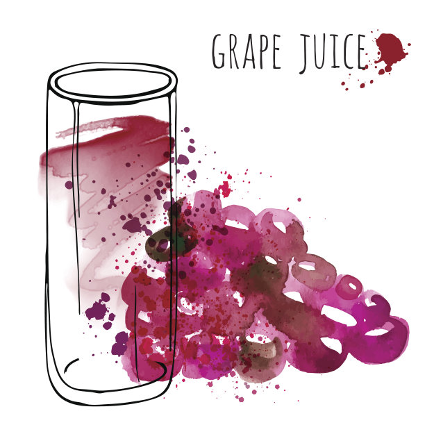 葡萄汁在玻璃和葡萄藤矢量插图。葡萄饮料和鲜榨果汁的水彩画。手画酒杯和健康葡萄饮料。图片下载