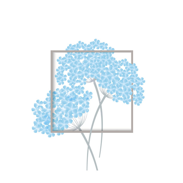 漂亮的鲜花邀请卡。绣球花属植物开花图片下载