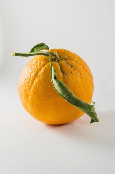 白色背景下橙色水果的特写镜头图片下载