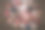地板上的旧婴儿(儿童)鞋。平躺图片下载