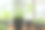 春苗:辣椒，卷心菜，罗勒和韭菜。素材图片
