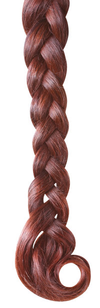 棕色毛孤立在白色上。图片下载