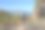 骑山地车穿过野火地区。图片下载