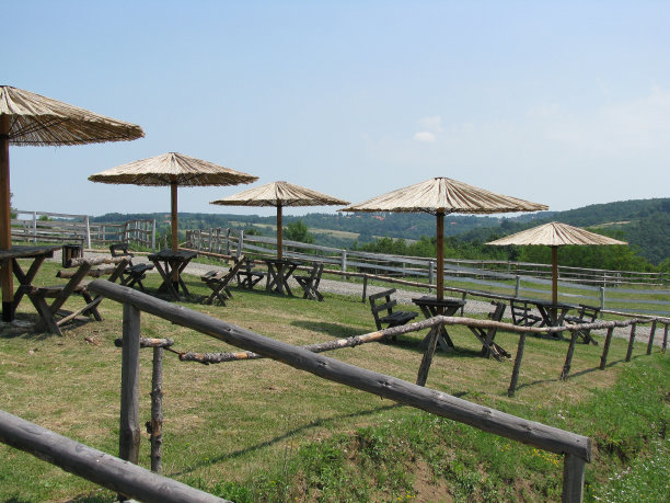 自然的假期图片下载