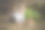 和动物玩耍的孩子们。图片下载