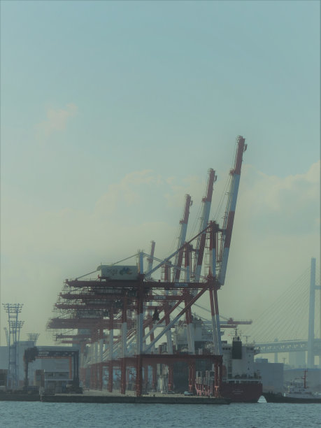 长颈鹿图片下载