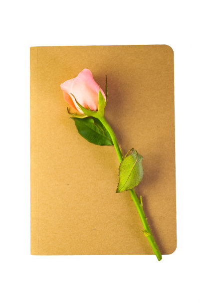 粉红玫瑰和笔记本图片下载