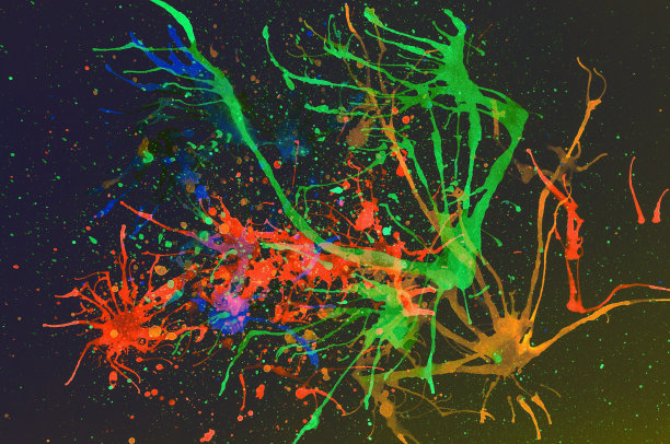 多色背景图片下载