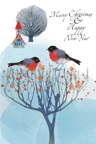 冬季卡9图片下载