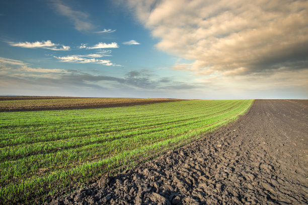 耕地领域图片下载