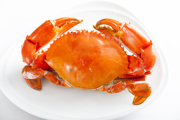 蒸螃蟹图片下载